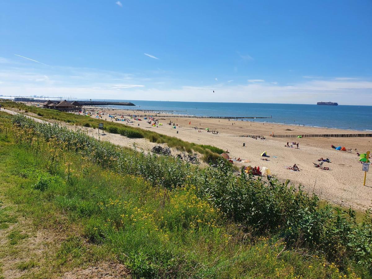 Le Normandy 5Star Apartment Cadzand Bagian luar foto